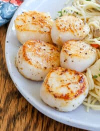 Pan Seared Scallops