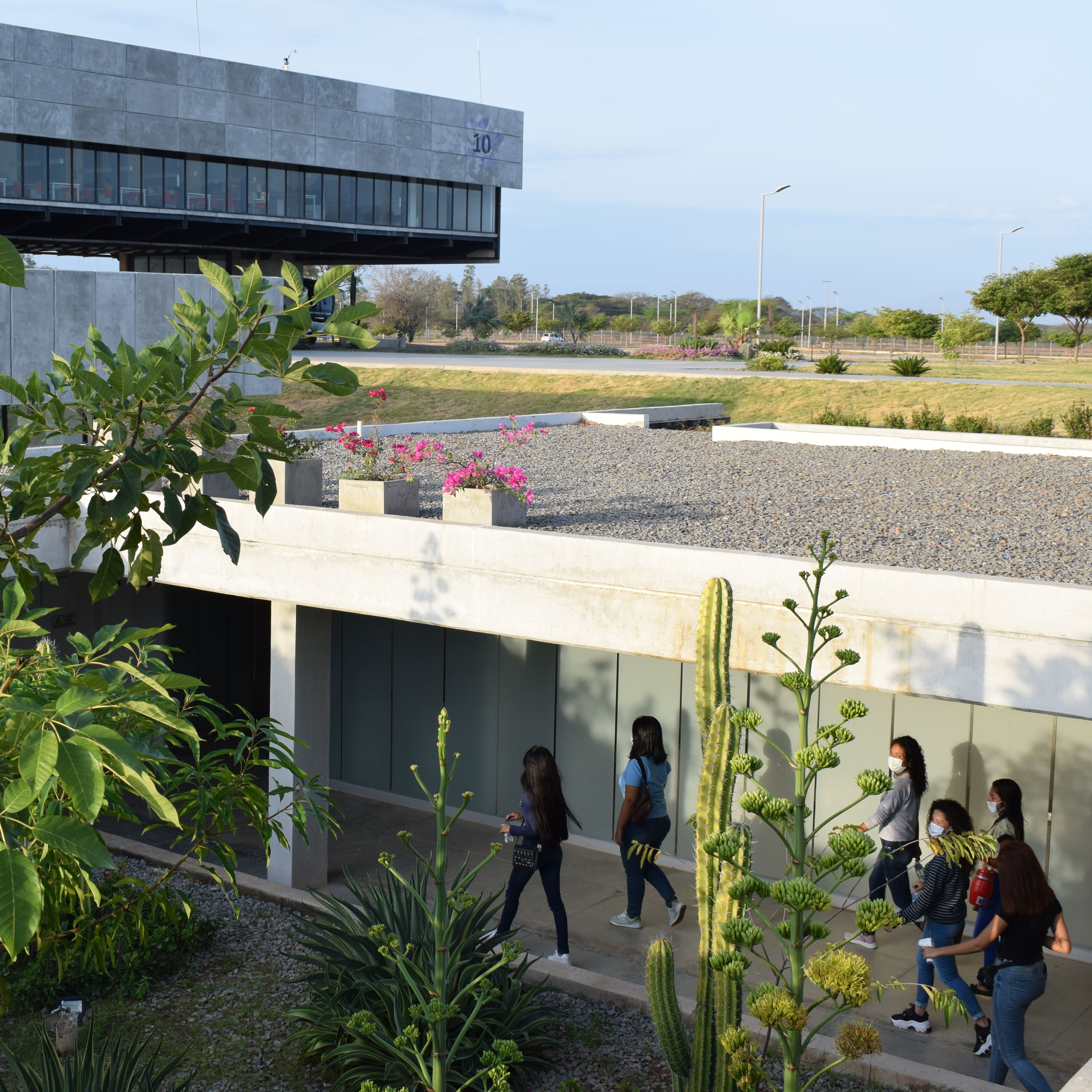 Bibliotecas sede La Paz