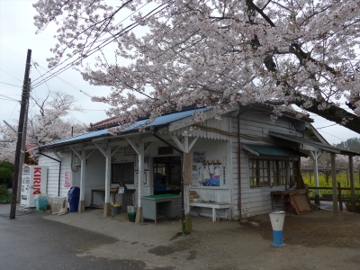 きゃみの駅訪問