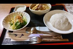 ＴＨＡＩＴＯＹタイレストランで『グリーンカレー』