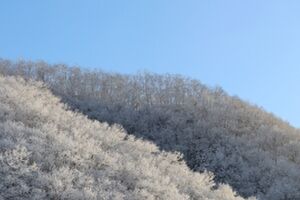 雪景色