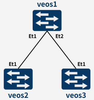 nw_diagram1