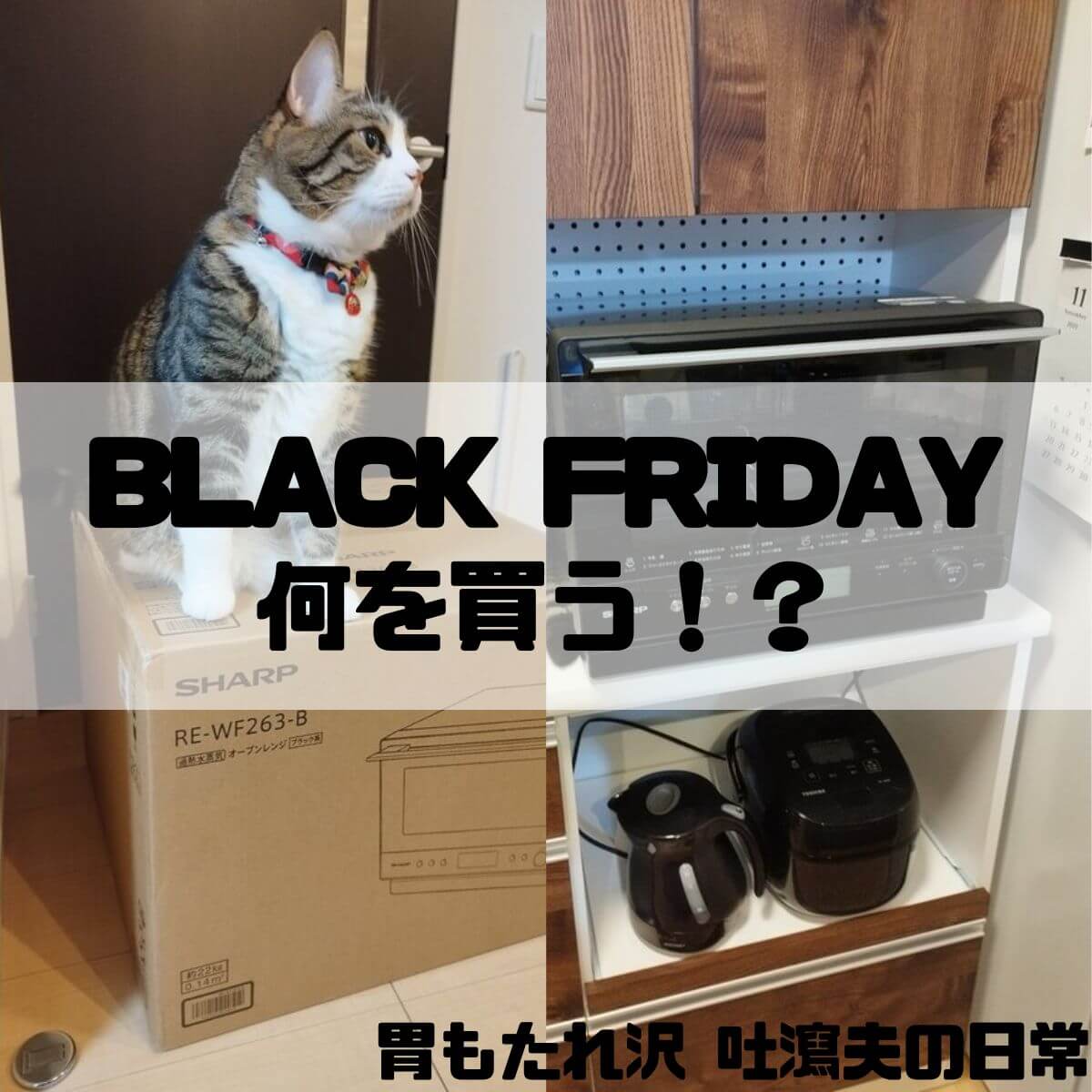 今年のブラックフライデーセールは何を買う？僕は電子レンジとパソコン買うぞ！