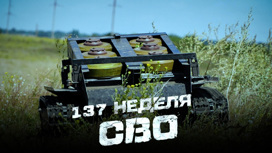 137-я неделя СВО