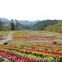 一足早い紅葉を見る為長野の山に登り続ける一人旅１日目