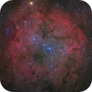 IC1396 HaLRGB, Ken-ichiro Tanaka