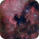 Pelican Nebula and North America Nebula, Ken-ichiro Tanaka