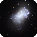 NGC 4449: The Box Galaxy, Ruediger