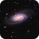 NGC 2903 (LRGB), Ruediger