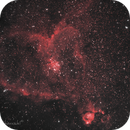 IC 1405, Ardian Xherrahi