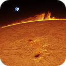 Sun H Alpha Prom and active region on 2022-03-25, Ruediger