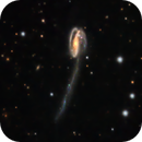 Arp 188: Tadpole Galaxy (LRGB), Ruediger