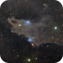 LDN1235 - Shark Nebula, Ruediger