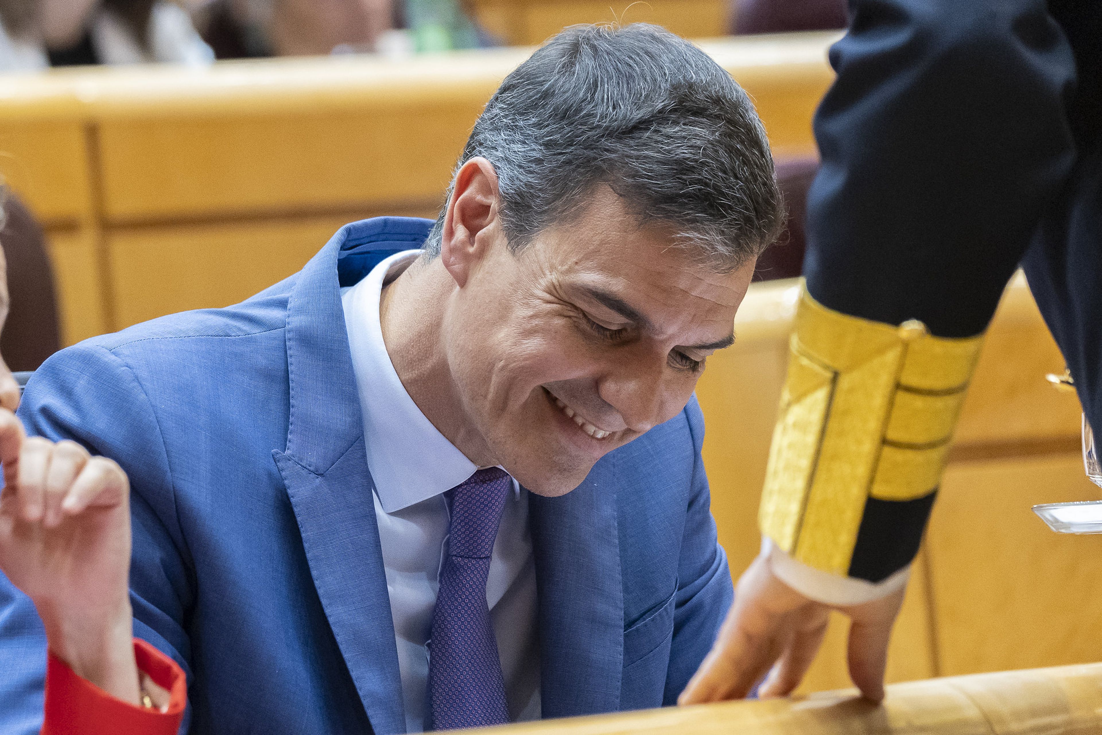 Pedro Sánchez en el Senado.