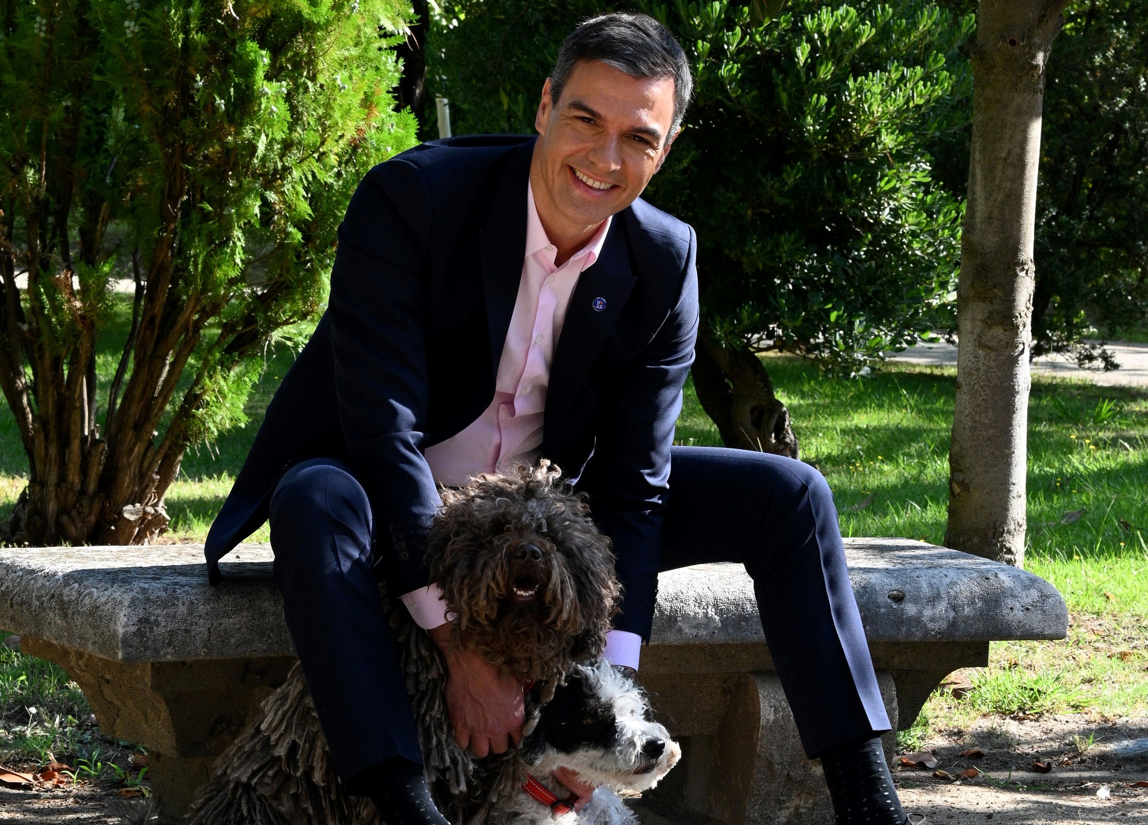 Pedro Sánchez, tuit día del perro