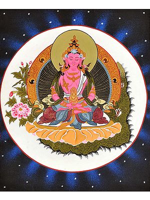 Tibetan Buddhist Deity Amitabha as Amitayus Buddha