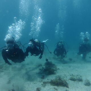 ライセンス取得】PADI オープンウォーターゴールドCカード・3日間コースの画像