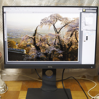 BenQ SW240 24インチ写真用モニター