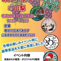 10月23日 メダカ祭りin山梨 メダカ メダカ販売