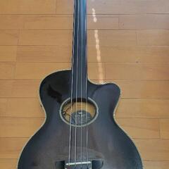 YAMAHA　APX-B12F