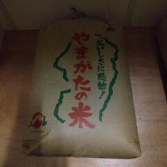 令和4年山形県産はえぬき②