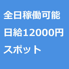 【スポット案件/急募!】【日給12000円】京都府宮津市 / 軽...