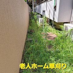 草刈り作業承ります～御相談下さい。その他御手伝い出来る事御相談下さい - 便利屋