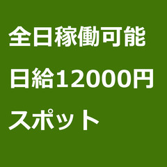 【スポット案件】【日給12000円】神奈川県三浦市 / 軽貨物ド...