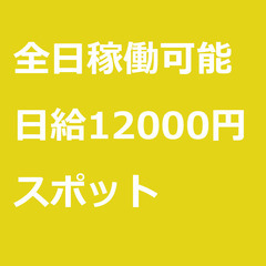 【スポット案件/急ぎ募集】【日給12000円】京都府宮津市 / ...