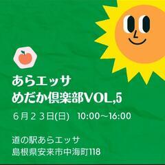 めだか展示販売