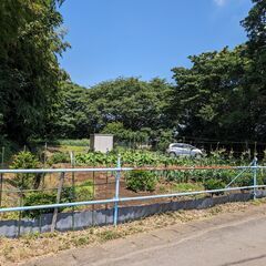 【売地】境町上小橋　住宅用地　境古河ICより1.4km