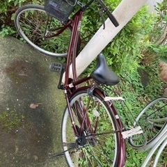 自転車 