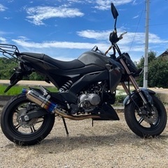 お話し中)Kawasaki z125 pro