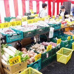 野菜販売者を大募集！地域密着の展示会にご参加ください！