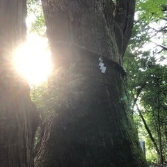 登山を教えてくれる人募集！