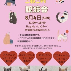 8月4日日曜日11:00〜15:00 こねこの里親譲渡会