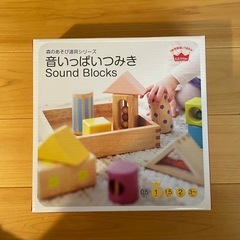 【新品未開封】音いっぱい積み木（元値：5500円）