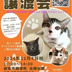 岐阜市柳津🐱猫の譲渡会