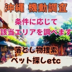 沖縄本島 機動調査代行致します