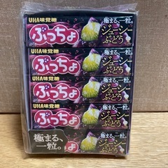 ぷっちょ　ジューシーぶどう　10個セット