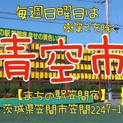 2025 11/2「多肉祭」と昔ながらの「青空市」フリーマーケット - 笠間市