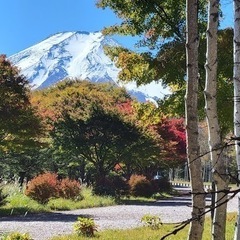 ふじさんマルシェ