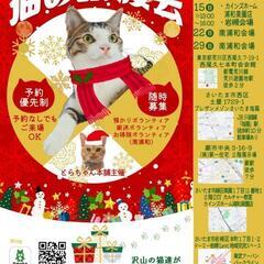 とらちゃん本舗　保護猫譲渡会in南浦和