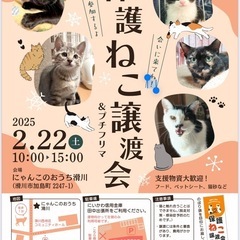 保護猫譲渡会