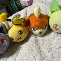 6.ポケモンちっちゃいぬいぐるみ