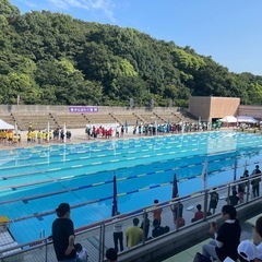 水泳の家庭教師