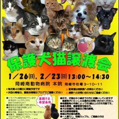 2月23日（日）保護犬＆保護猫の譲渡会、開催します！