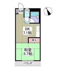 MS🎐敷金ゼロ、礼金ゼロ、初月賃料ゼロ、仲介手数料ゼロ🎐駅徒歩4...