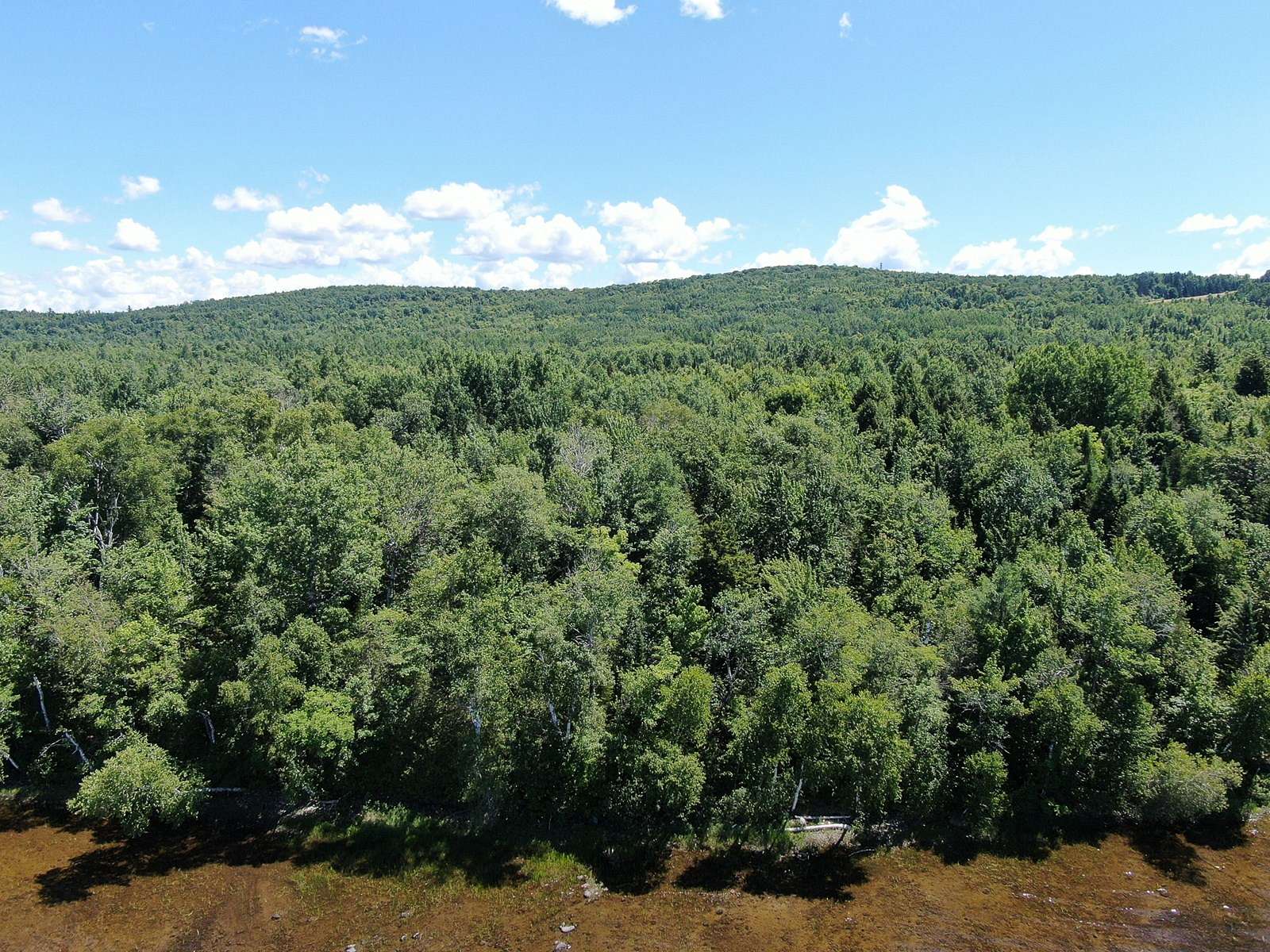 1.19 Acres of Land for Sale in Danforth, Maine