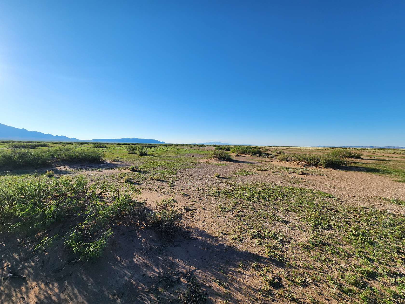 40 Acres of Land for Sale in Deming, New Mexico